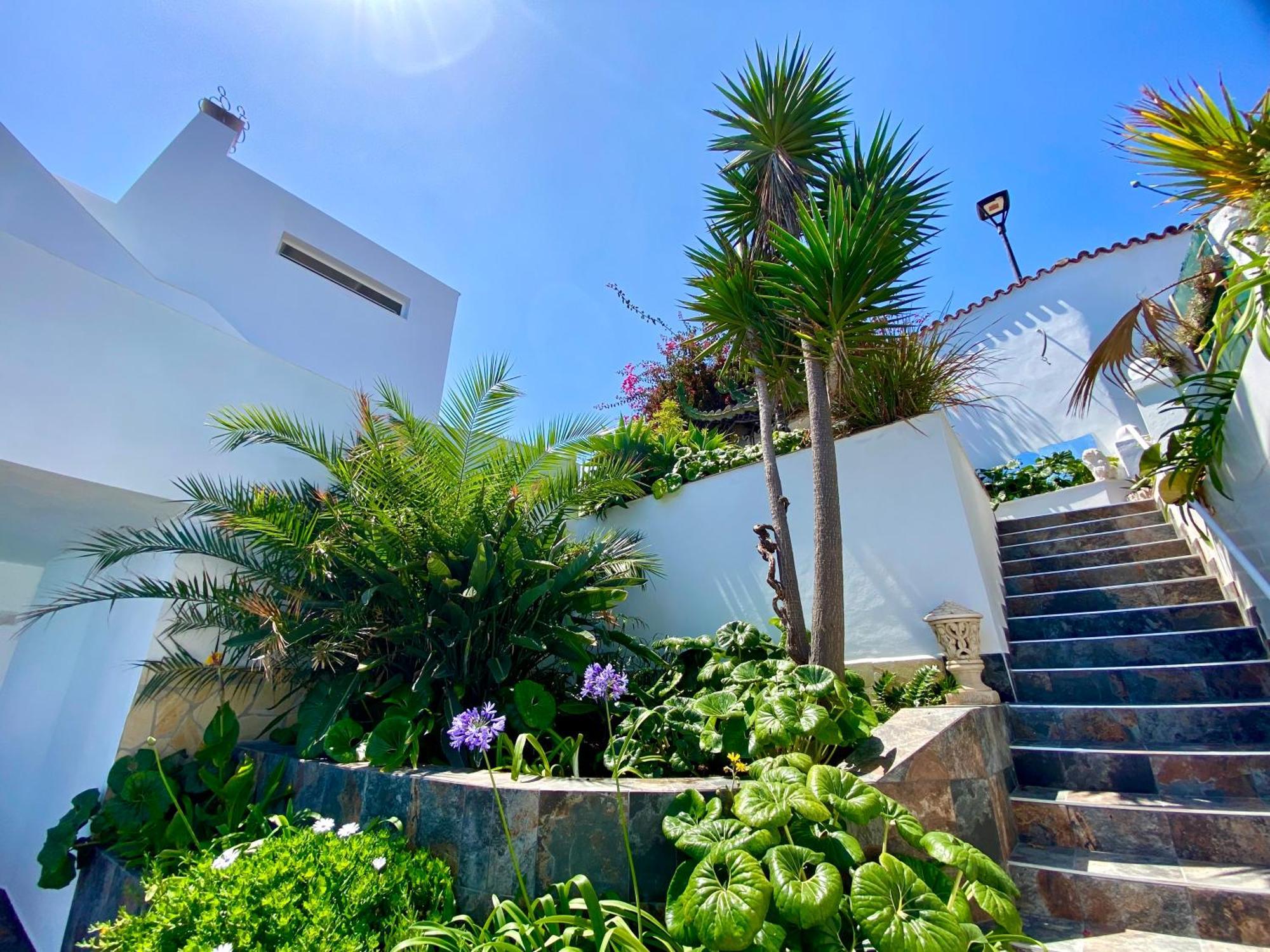 Villa Oasis La Paz - Pelinor Studio - Adults Only Puerto de la Cruz  Buitenkant foto