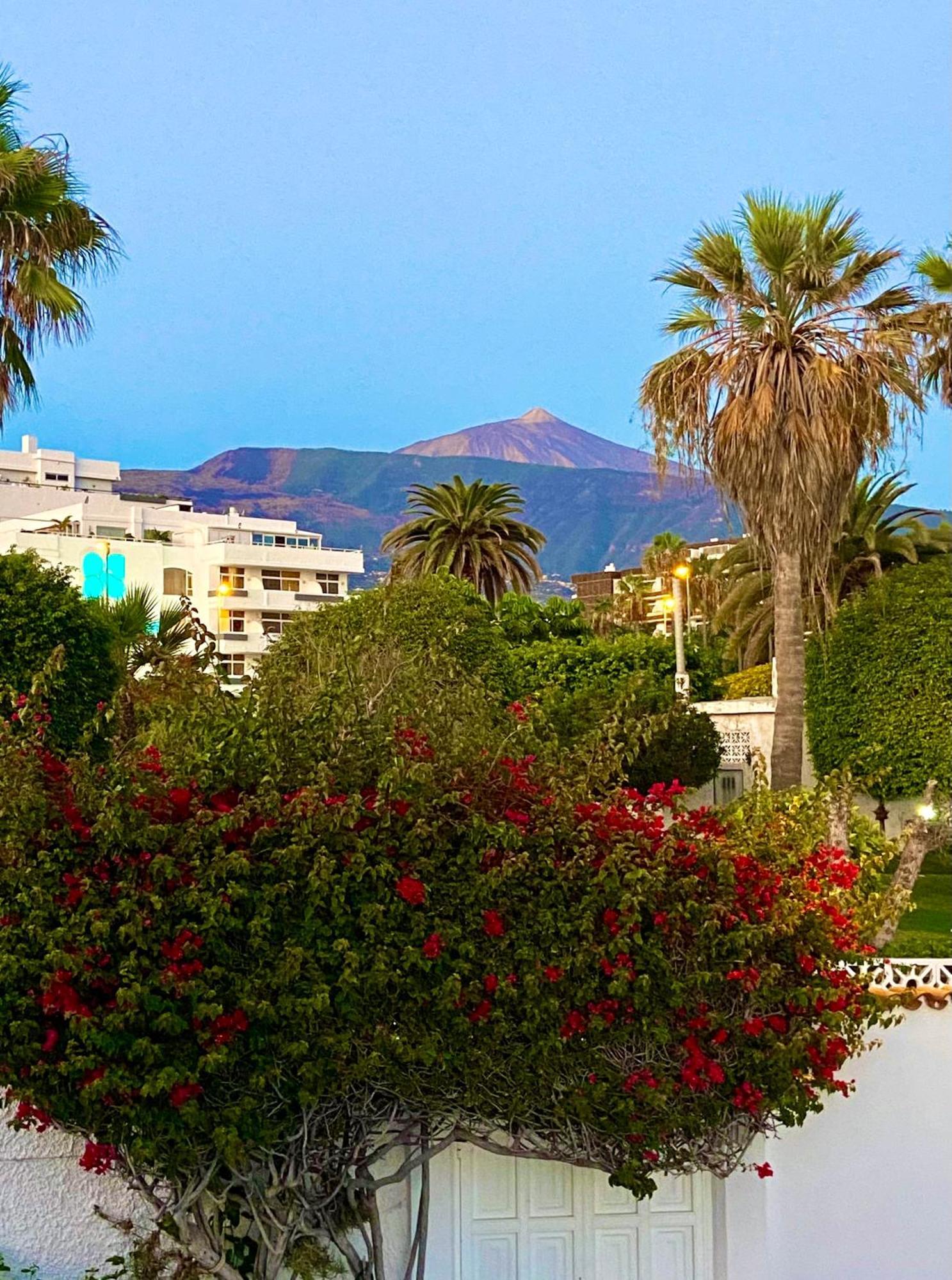 Villa Oasis La Paz - Pelinor Studio - Adults Only Puerto de la Cruz  Buitenkant foto