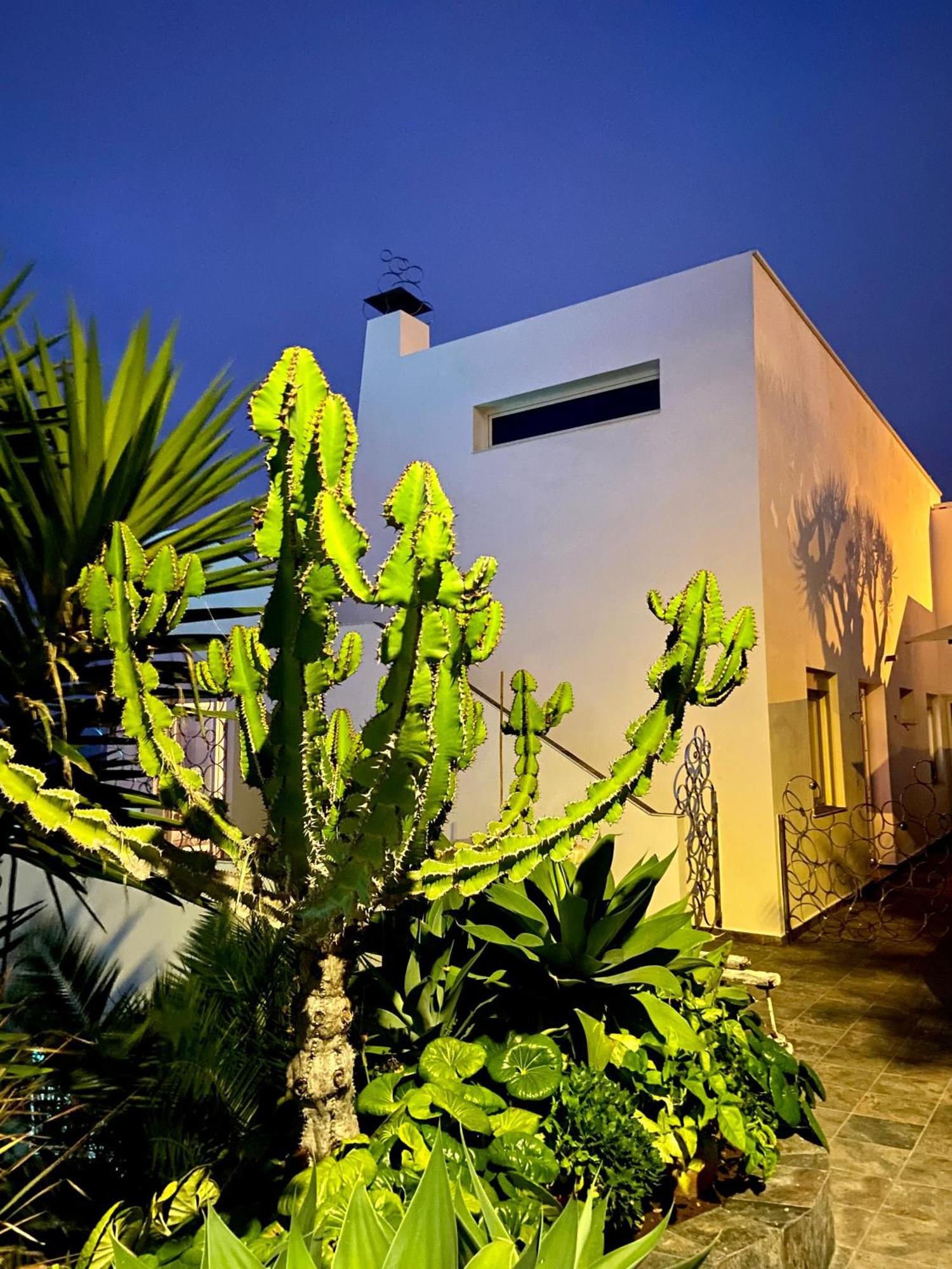 Villa Oasis La Paz - Pelinor Studio - Adults Only Puerto de la Cruz  Buitenkant foto