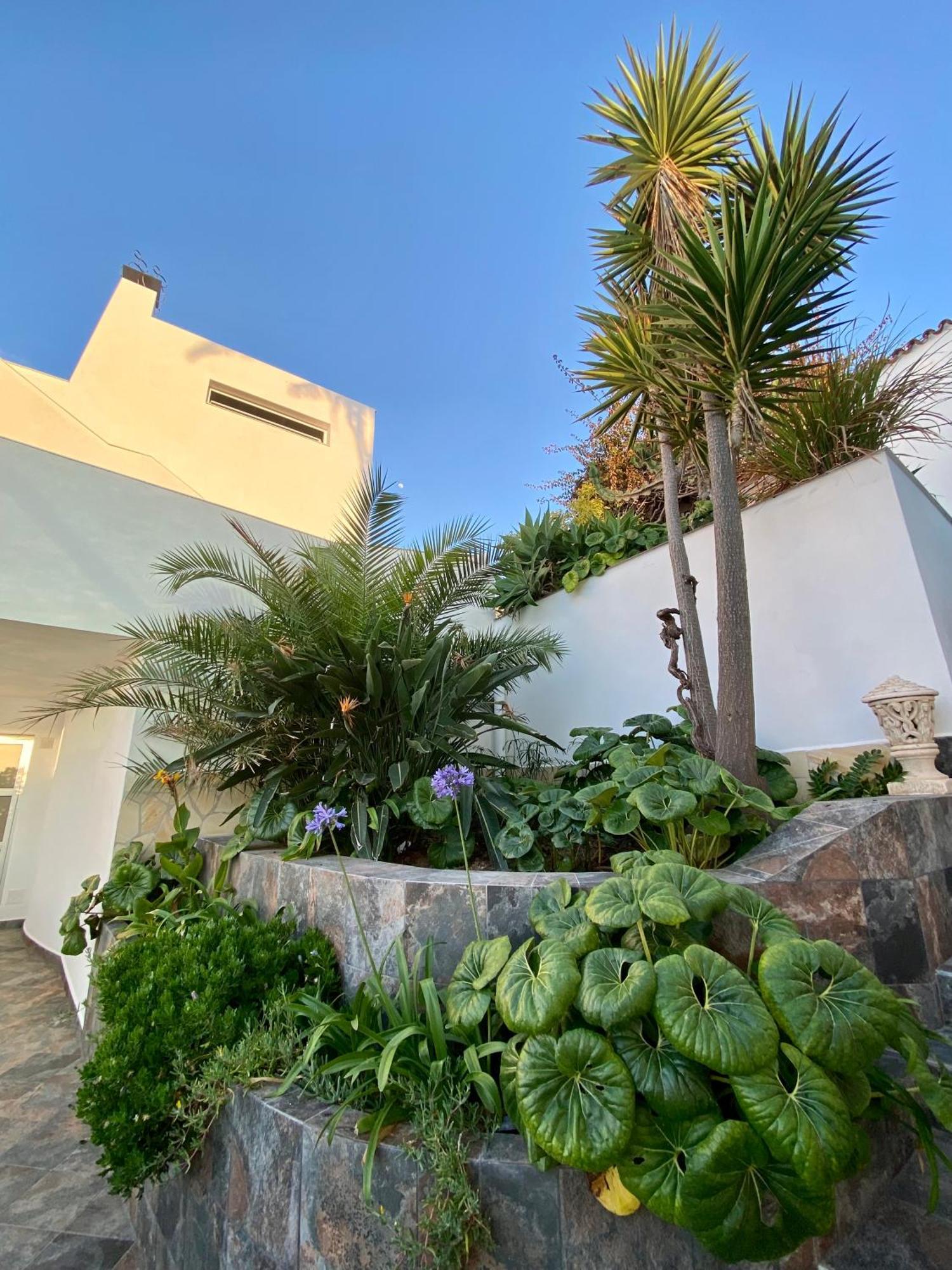 Villa Oasis La Paz - Pelinor Studio - Adults Only Puerto de la Cruz  Buitenkant foto